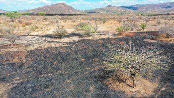 El estallido de la pandemia