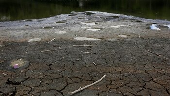 El verdadero enemigo del planeta