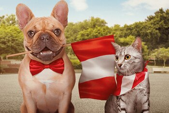 ¿Qué es Renian, el registro