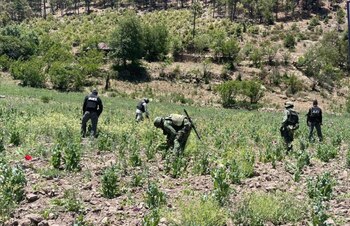 En total fueron destruidas 3