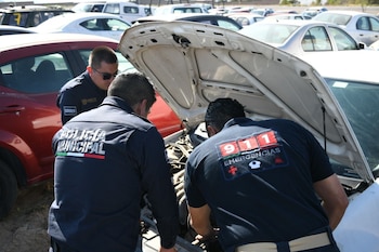 El curso fue impartido por