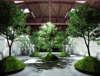 El costo del compost de