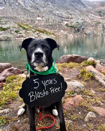 "5 años libre de Blastomicosis"