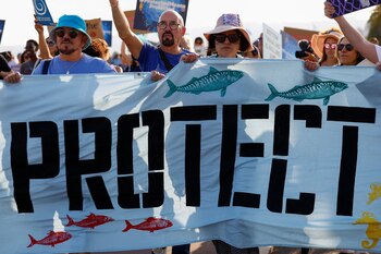 Varios manifestantes se movilizan en