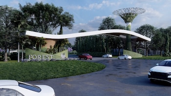 Forest se encuentra rodeado de