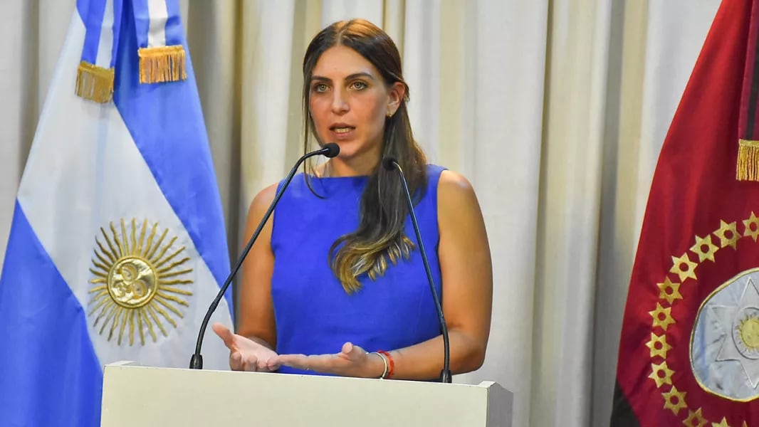 El decreto, según informó la vocera Benavidez, abarca a todos los niveles del Estado e incluye a quienes aspiren a ingresar a la administración pública