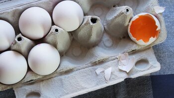 Huevos podridos y con telarañas,