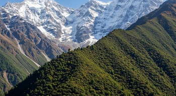 Vista panorámica de la cordillera del Himalaya, mostrando montañas cubiertas de nieve y roca, con laderas inferiores repletas de densa vegetación verde.