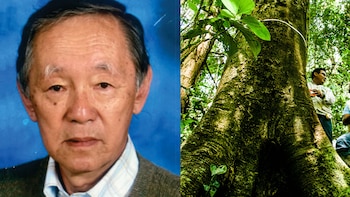 Luis Takahashi, el arquitecto peruano