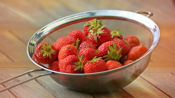 Cuál es la manera correcta