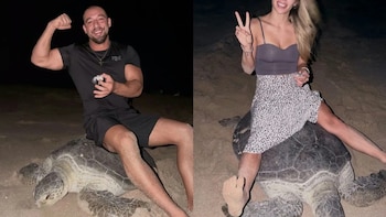 Vadym Oleynik, influencer, genera indignación tras molestar a tortugas marinas en una playa de Ucrania