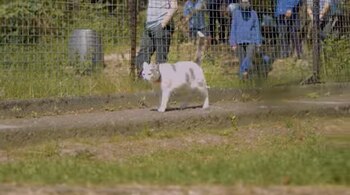 Kiki acompaña a Sonny y