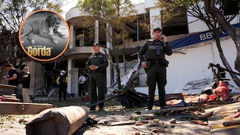 Gorda, la perrita que acompañó a la Policía por 8 años, murió tras el atentado con explosivos del ELN en Cúcuta: así fue su despedida