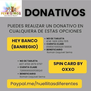 El refugio solicita apoyo económico