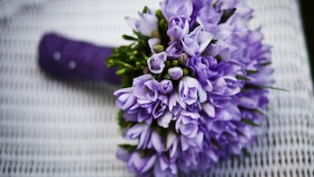 Un nuevo trend en redes