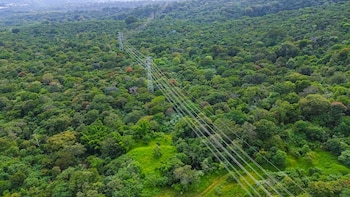 Mediante el uso de IA,