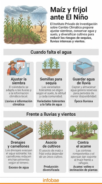 Infografía con ilustraciones de cultivos de maíz y frijol, esquemas de almacenamiento de agua, drenajes y textos informativos sobre el clima.