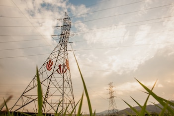 Miles de habitantes se encuentran