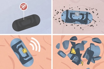 El MIT desarrolla una cápsula