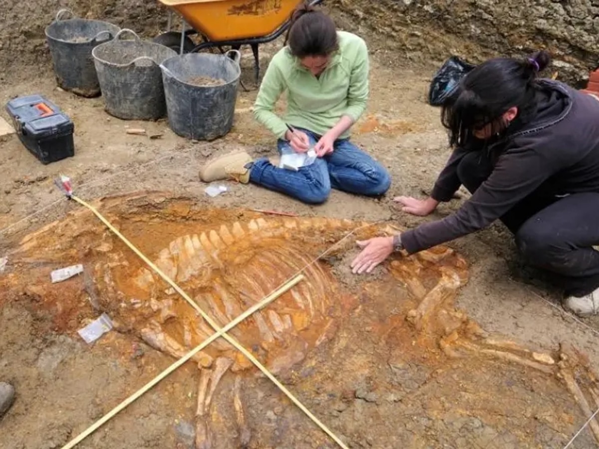 Descubrieron los restos de un hombre que sobrevivió a una flecha hace 4.000 años - Infobae
