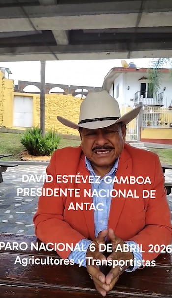 Imagen OPOG2UW6GJBKDLUGDBS3HIHR4Q