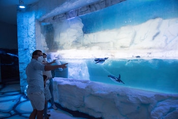 Acuario Inbursa (Foto: Cuartoscuro)