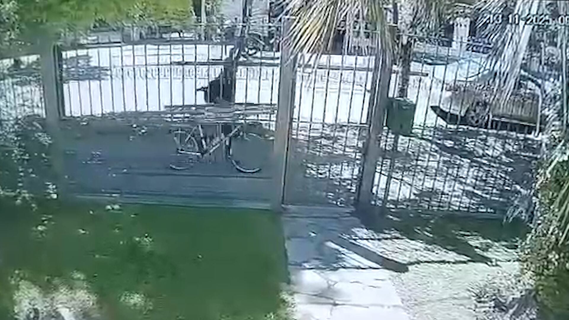 Detuvieron a un sospechoso por el crimen de la psiquiatra en La Plata: era su jardinero