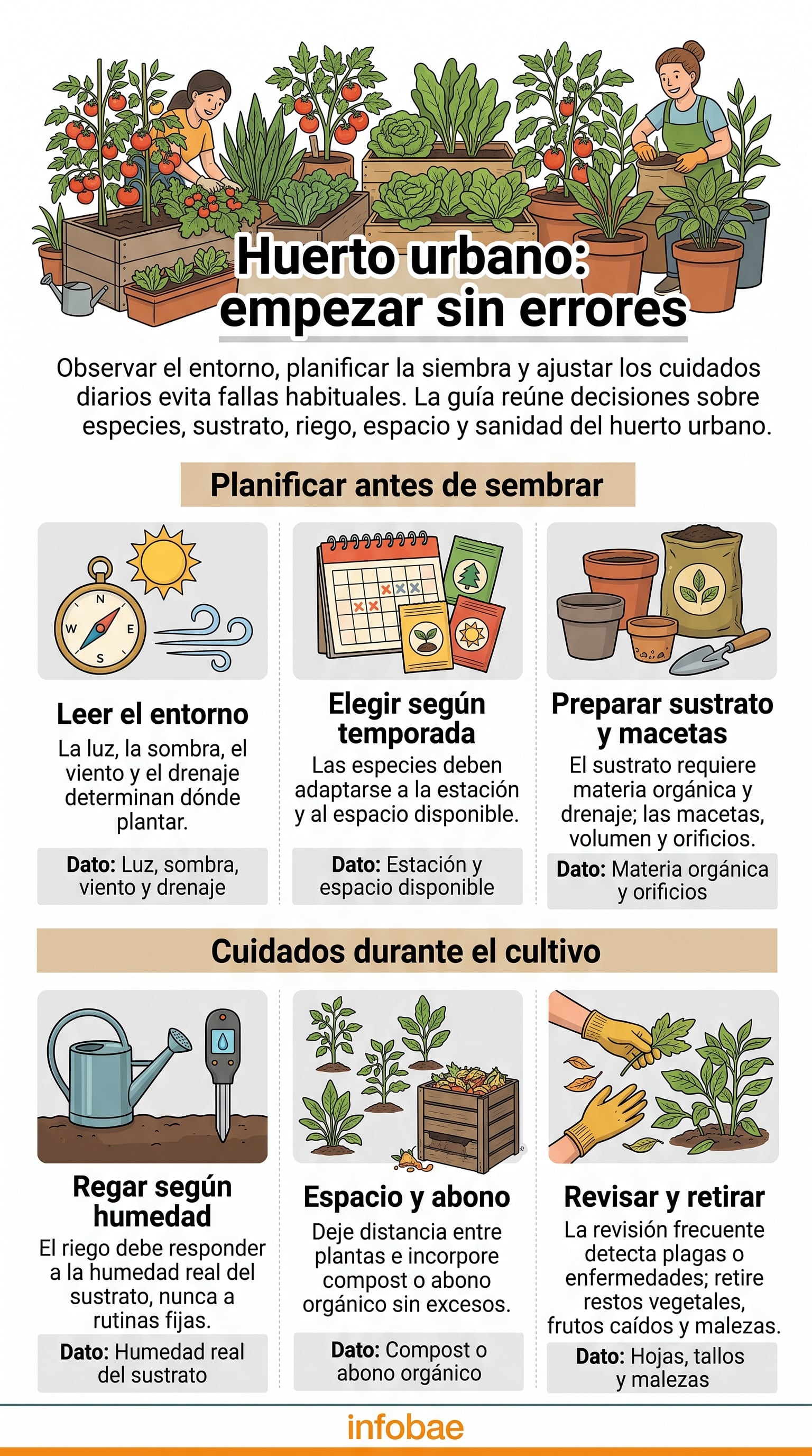 Recomendaciones clave para iniciar un huerto urbano sin errores habituales. (Imagen Ilustrativa Infobae)