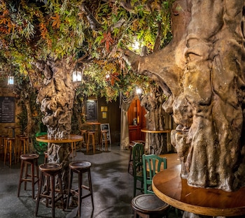 Interior del bar El Bosc