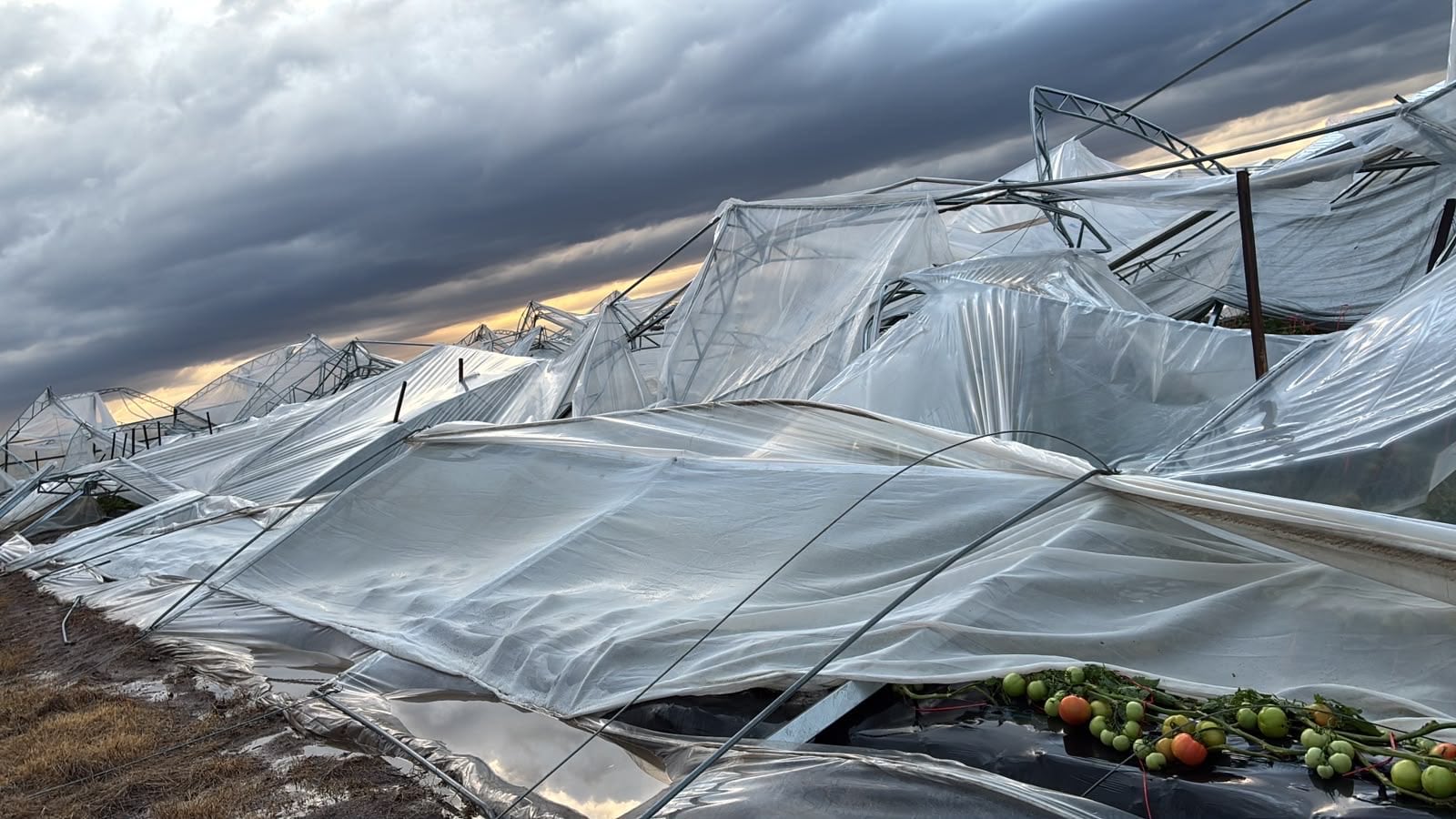 Imágenes del temporal en Salto, Uruguay (@HoracioDeBrum)