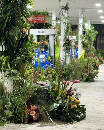 La sede principal, en Coral