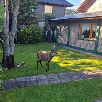 El Parque Nacional Lanín destaca