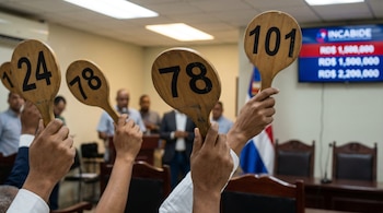Primer plano de varias manos levantando paletas de madera numeradas en una subasta. Al fondo, una pantalla con el logo de INCABIDE y la bandera de República Dominicana.