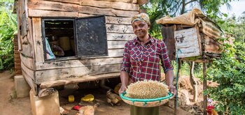 Distintas iniciativas en África alientan