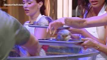 MasterChef Celebrity impactó con el