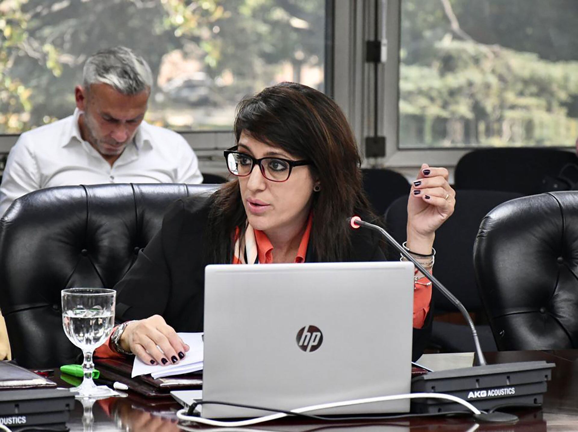 Alejandra Provitola, jueza del caso (Crédito: Consejo de la Magistratura)