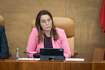 La vicepresidenta de la Mesa de la Asamblea, Ana Millán, durante un pleno en la Asamblea de Madrid (Diego Radamés / Europa Press)