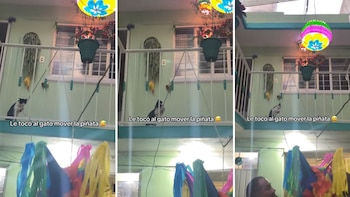 La escena fue tan surrealista