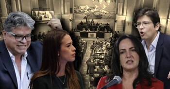 El Congreso rechazó la consulta