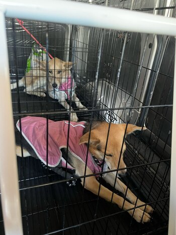 Fotografía de la compañía enviada