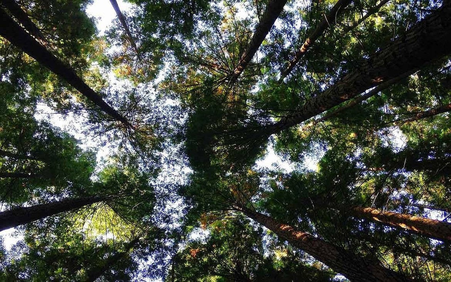 21/10/2026 WWF pide acelerar las medidas para frenar la pérdida de biodiversidad.SOCIEDAD WWF ESPAÑA