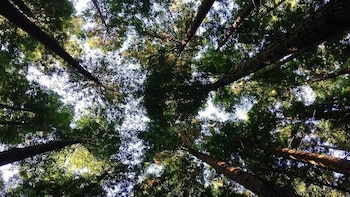 WWF España pide al Gobierno acelerar las medidas para frenar la pérdida de biodiversidad de cara a 2030