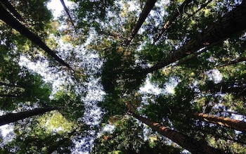 21/10/2026 WWF pide acelerar las medidas para frenar la pérdida de biodiversidad.
SOCIEDAD
WWF ESPAÑA
