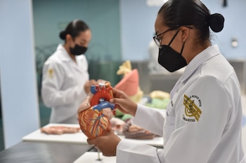 La convocatoria cierra el 9