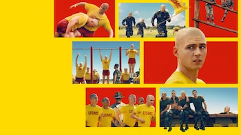 Netflix opta por no renovar