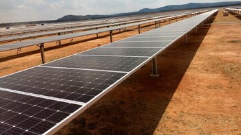 Preocupa a euro cámaras de