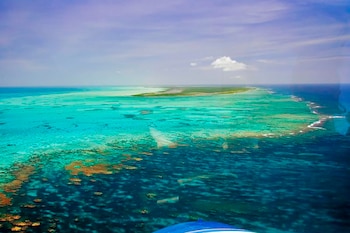 Vista aérea del Arrecife Horseshoe, con aguas oceánicas de tonos turquesa y azul intenso, coral visible y una isla verde al fondo bajo un cielo azul con nubes blancas. Borde de aeronave abajo