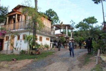 Alfa Siete Guatemala