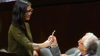 Quién es la diputada que