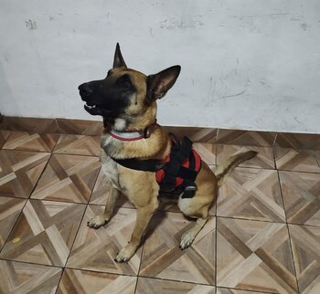 Dunkell de pequeño
(Fuente)